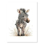 Zebra, Nursery Animal Watercolor Prints – Cute Kids Wall Art